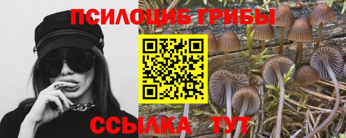 Борзя  даркнет сайт  Вход с VPN  Псилоцибиновые грибы ЛСД 